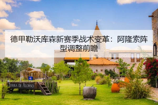 德甲勒沃库森新赛季战术变革：阿隆索阵型调整前瞻