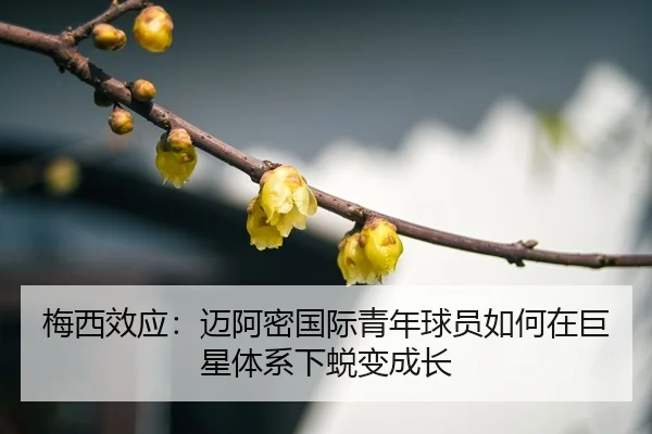 mei-xi-xiao-ying-mai-a-mi-guo-ji-qing-nian-qiu-yuan-ru-he-zai-ju-xing-ti-xi-xia-tui-bian-cheng-zhang-3-254.jpg