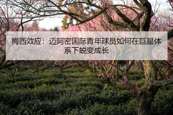 梅西效应：迈阿密国际青年球员如何在巨星体系下蜕变成长