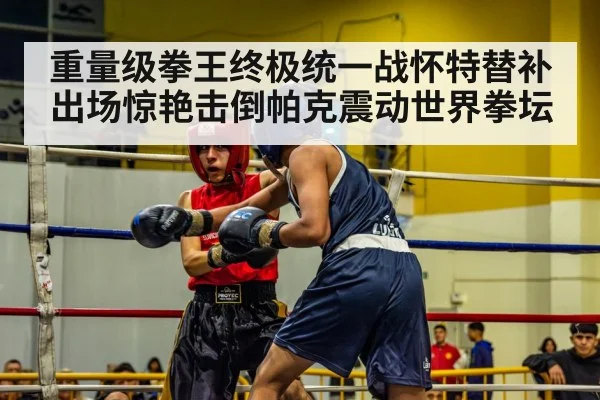 重量级拳王终极统一战怀特替补出场惊艳击倒帕克震动世界拳坛